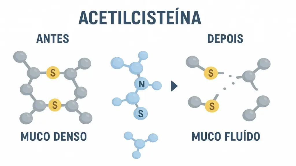 Ilustração do mecanismo molecular da acetilcisteína quebrando ligações dissulfeto do muco, comparando antes e depois do tratamento